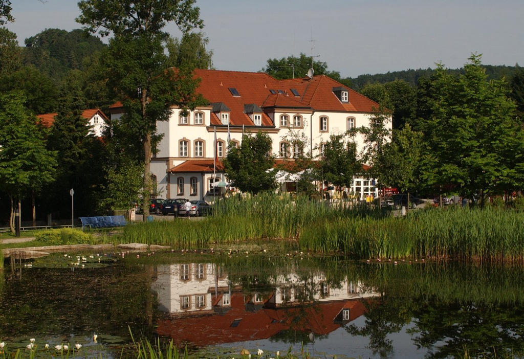Hotel Md-Hotel Gallus Байльнгрис Экстерьер фото